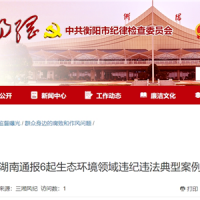 超時(shí)、超量、越界采砂！湖南通報(bào)6起生態(tài)環(huán)境領(lǐng)域違紀(jì)違法典型案例 2起與砂石有關(guān)！